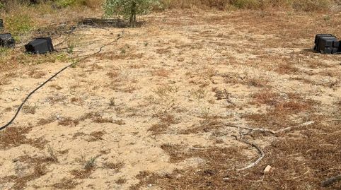 Foto 3 von Grundstücke zum Verkauf in Cuatro Pinos - El Carmen, El Puerto de Santa María