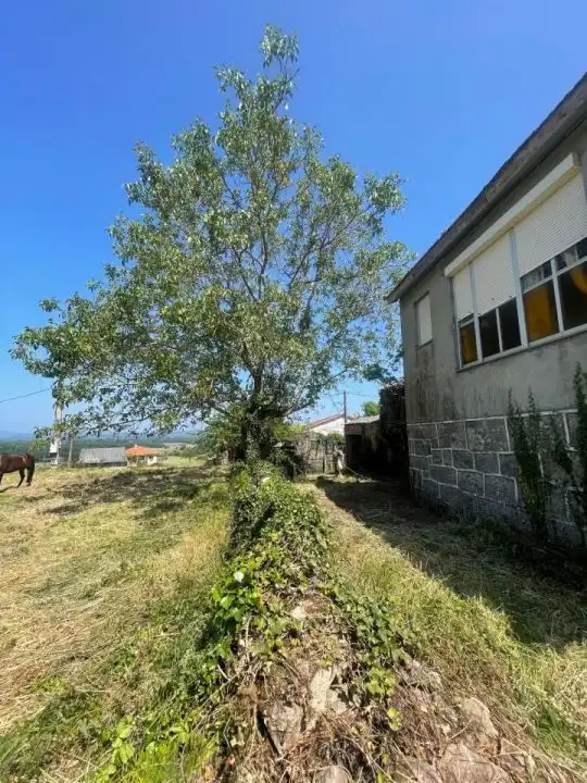 Casa in vendita a Sarreaus, imagen 11