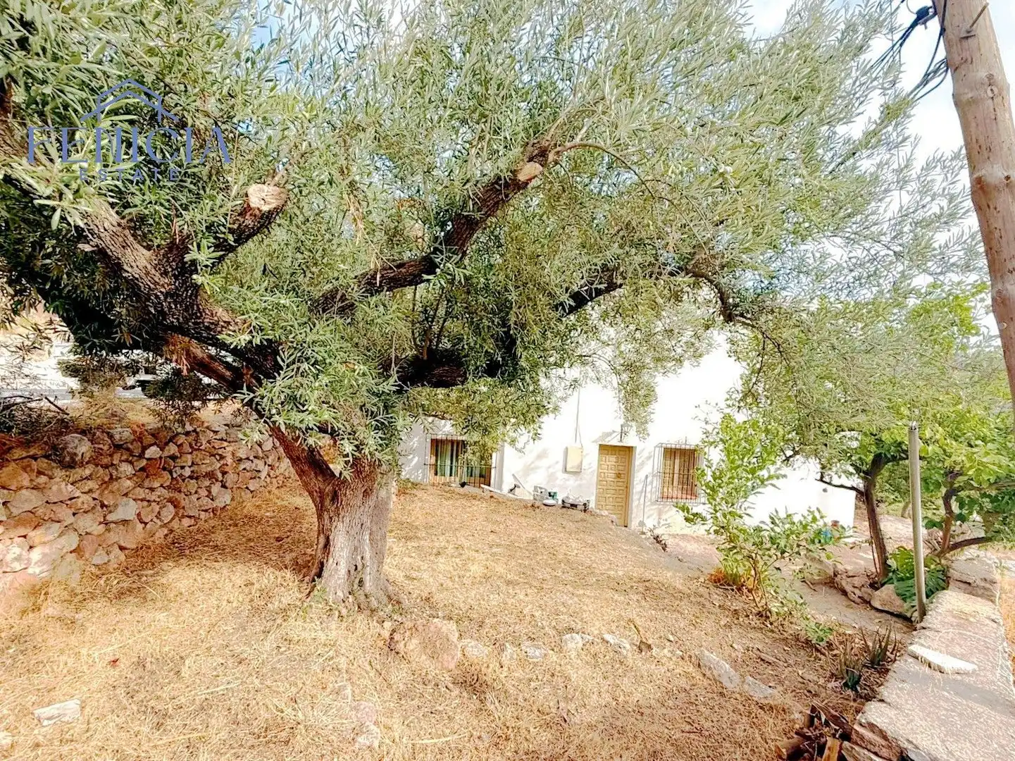 Jardín de Edificio en venta en Lentegí