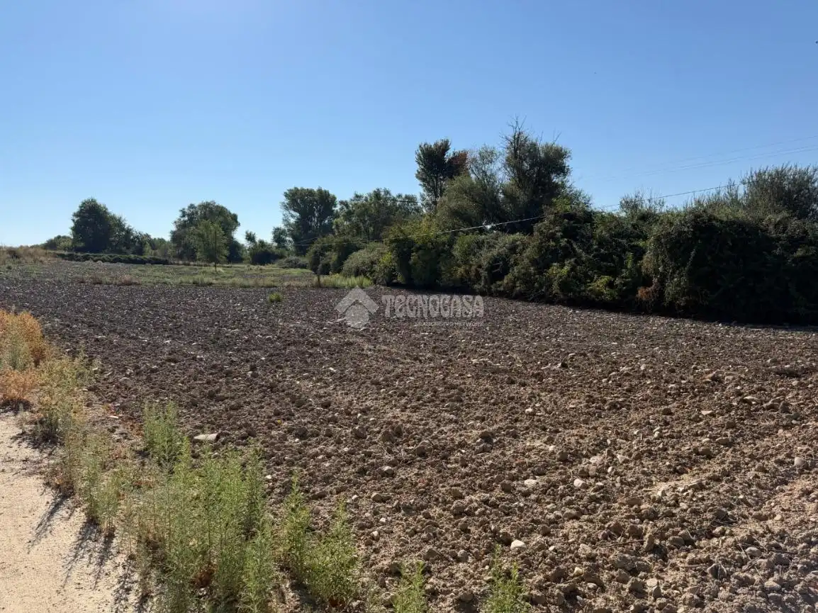 Terreny rústic en venda a Fuente El Saz de Jarama, imagen 20