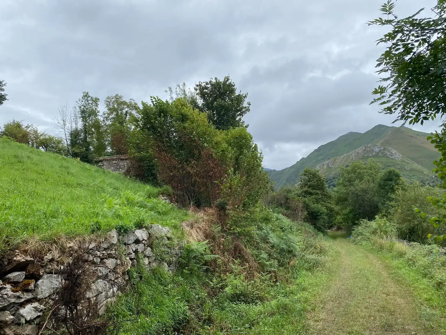 Houses for sale in Gamonedo, Cangas de Onís