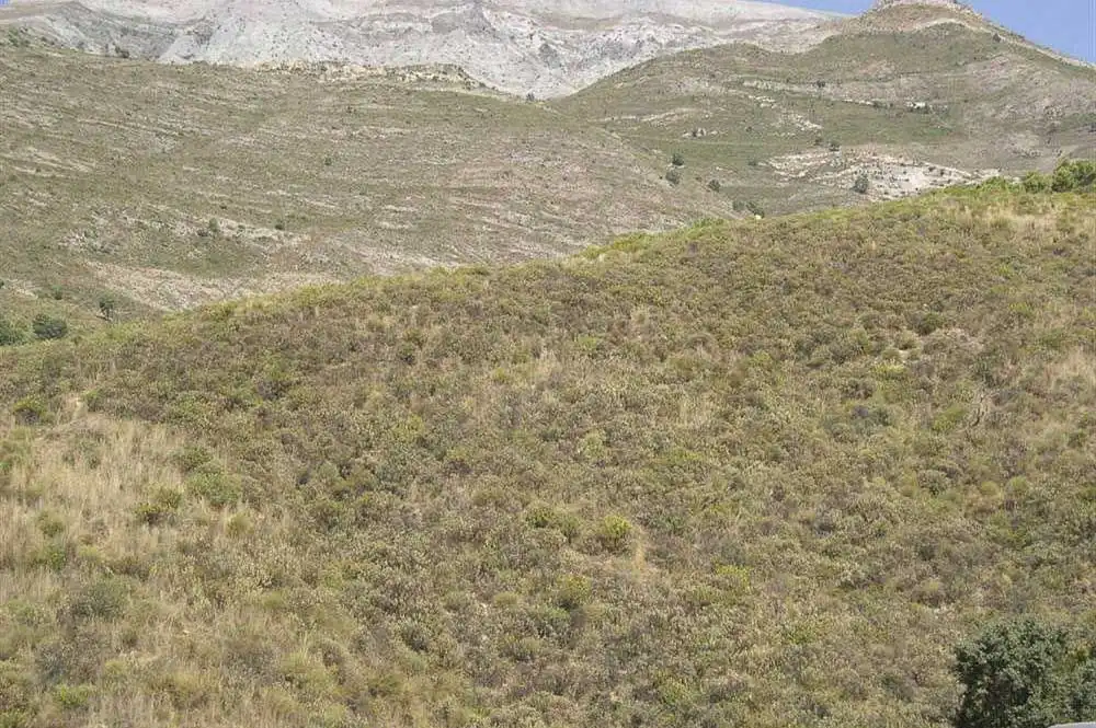 Terreno rústico en venta en Sedella, imagen 4