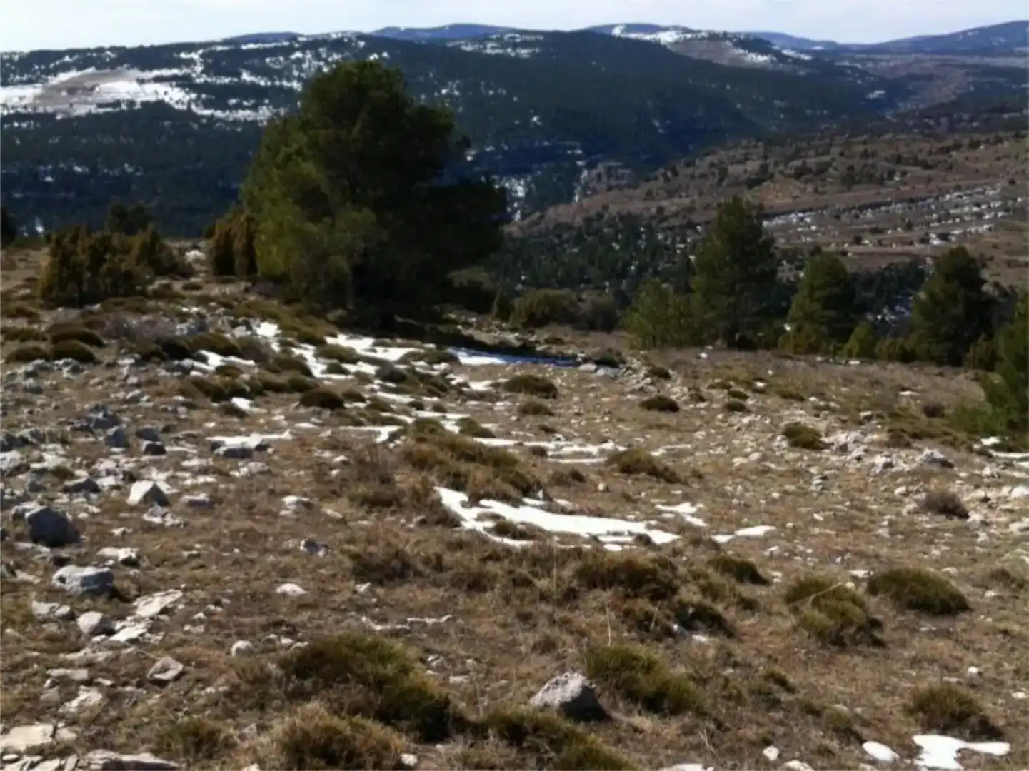 Terreno en venta en Mosqueruela