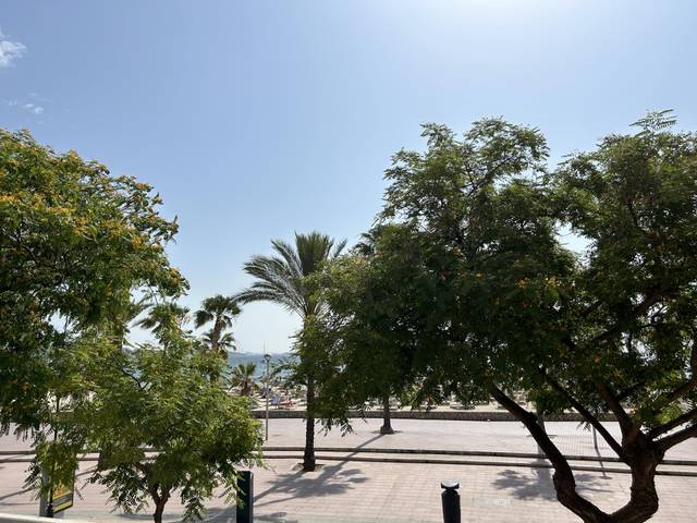 Apartamento en Alquiler en Palmanova