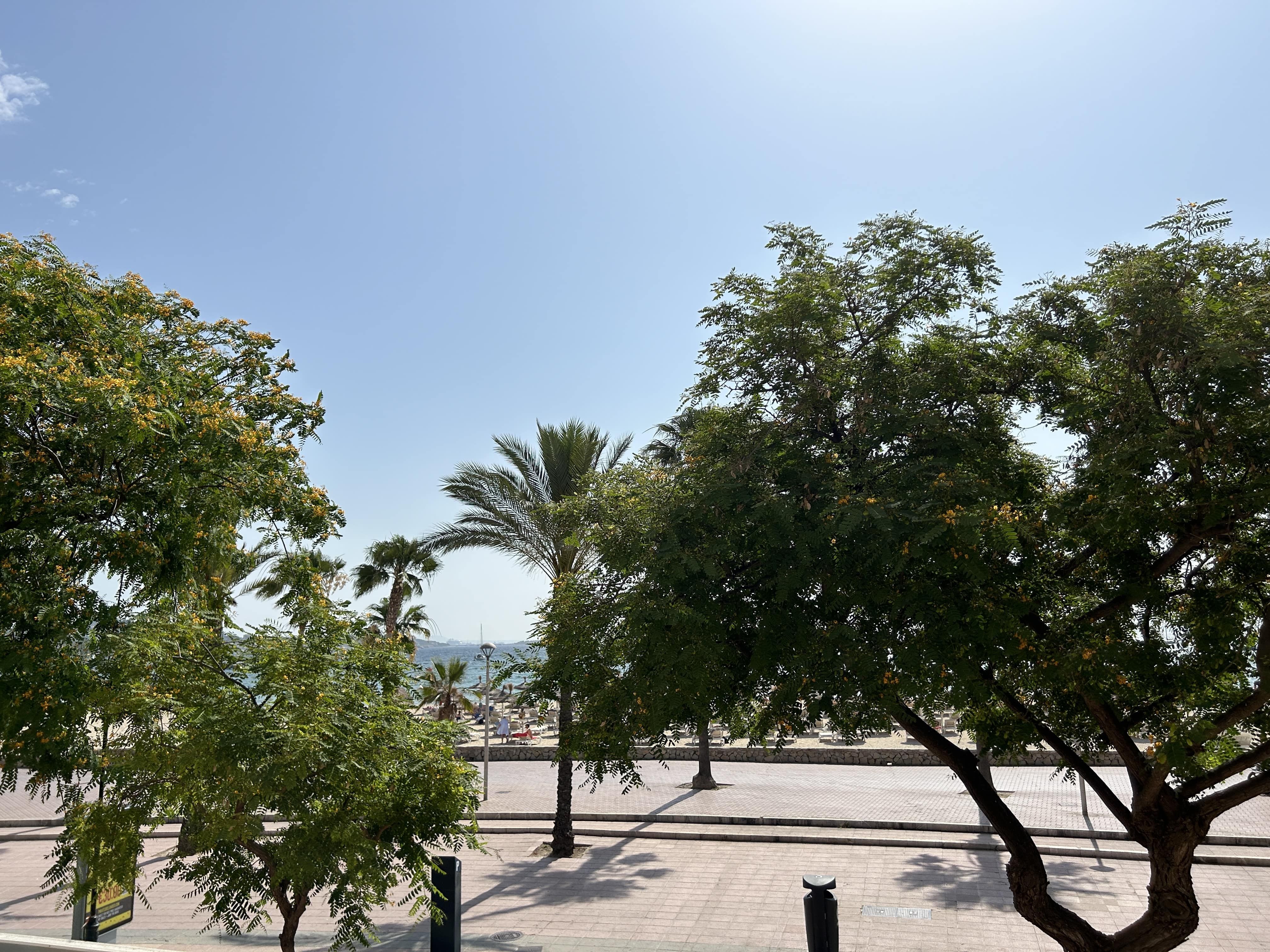 Vista exterior de Apartament de lloguer en Calvià amb Aire condicionat