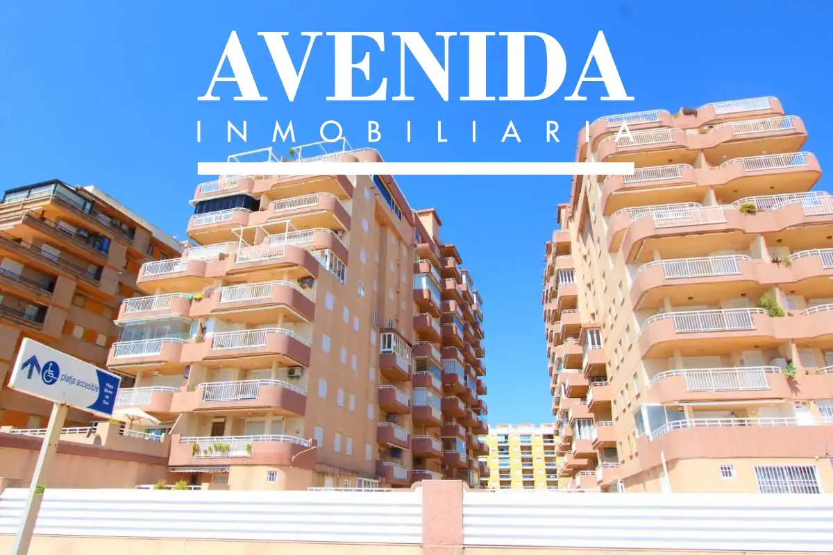Estudio con piscina en venta en Marítimo Mediterráneo 47, imagen 42