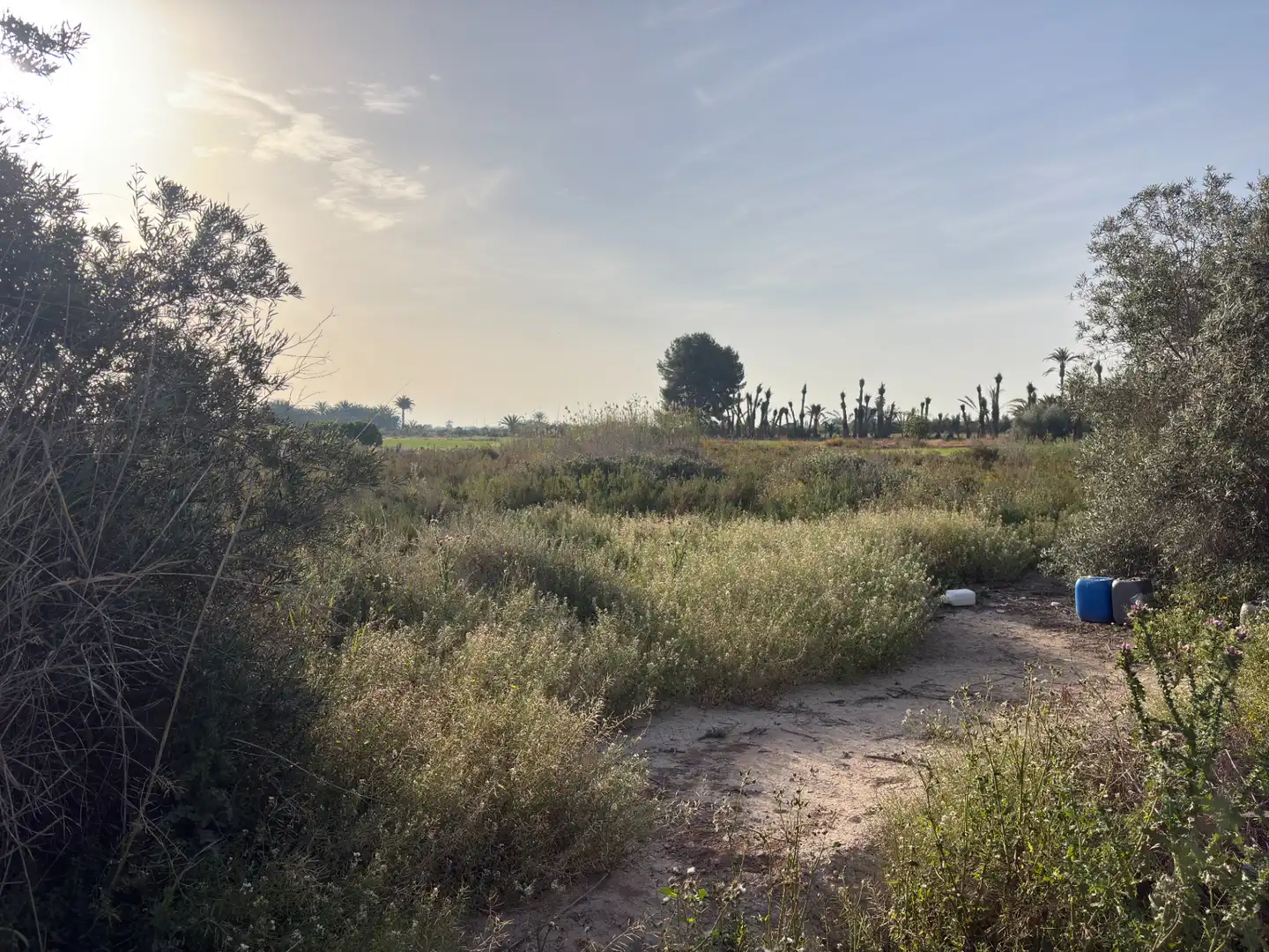 Terreno rustico in vendita a Granja de Rocamora, imagen 9