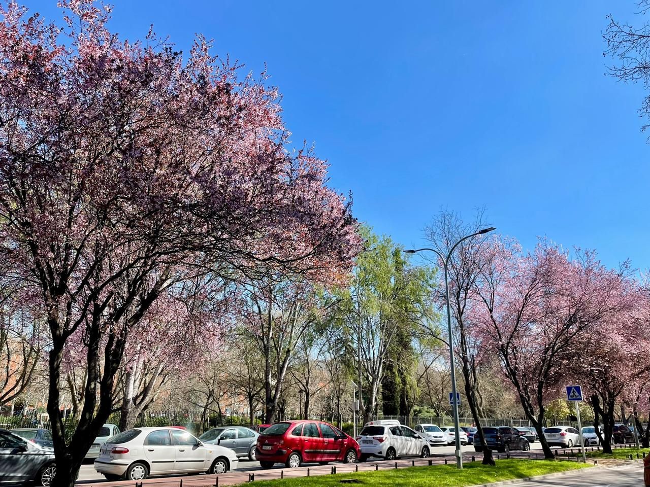Vista exterior de Pis en venda en Alcalá de Henares amb Calefacció i Terrassa