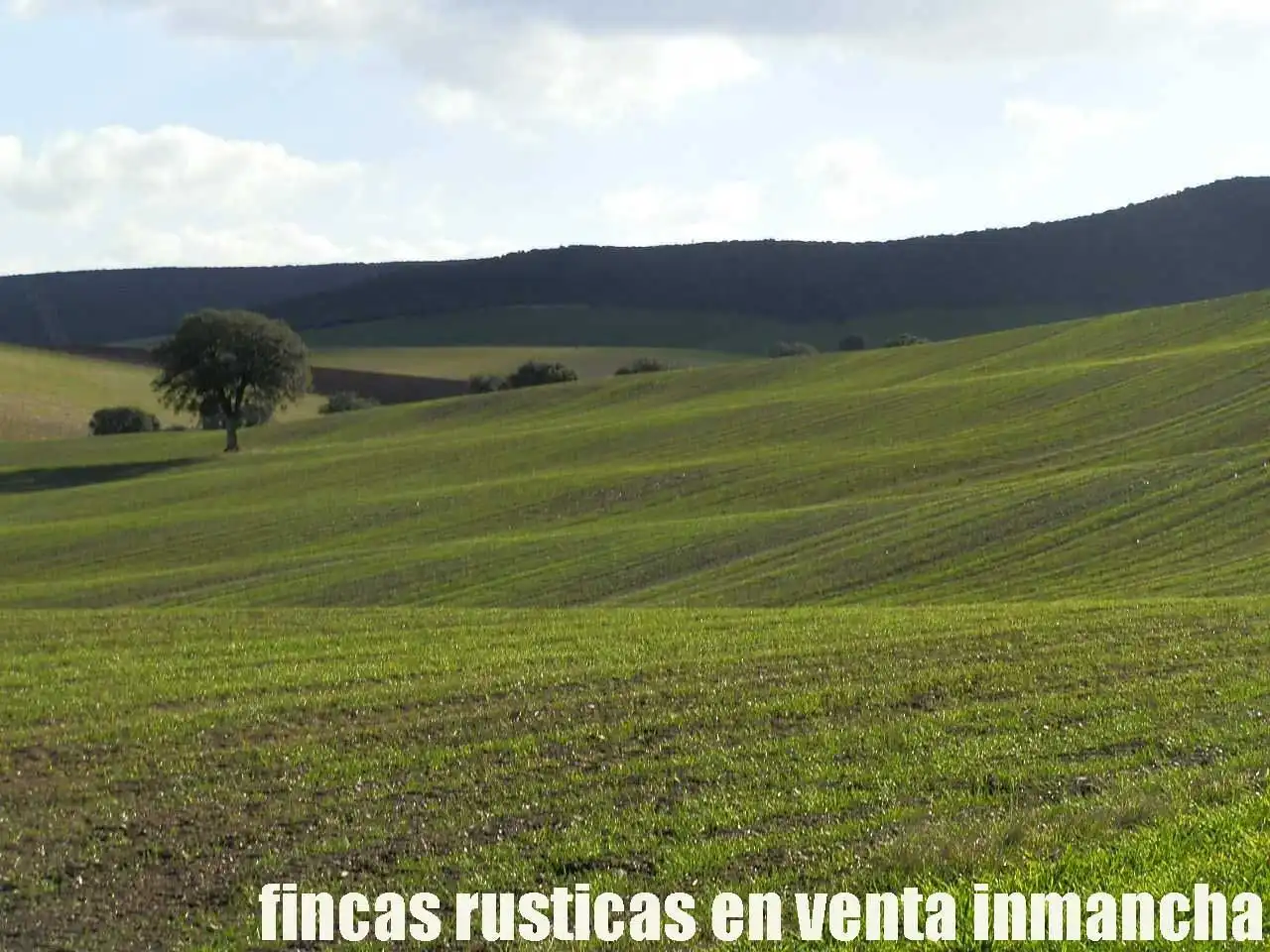 Terreny rústic en venda a Viso del Marqués, imagen 11