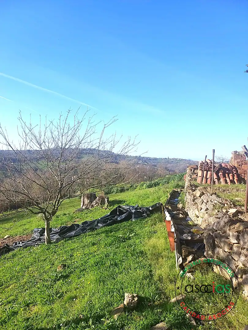 Casa o chalet en venta en Langreo con Jardín privado, Terraza y Trastero