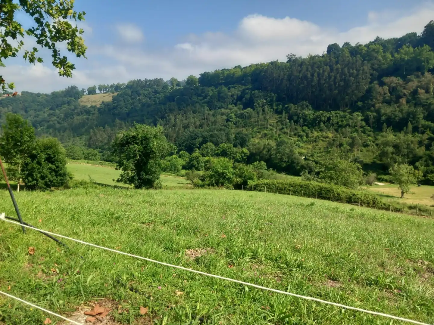 Terreni e lotti in vendita a Labarces - La Cardosa 21, imagen 14