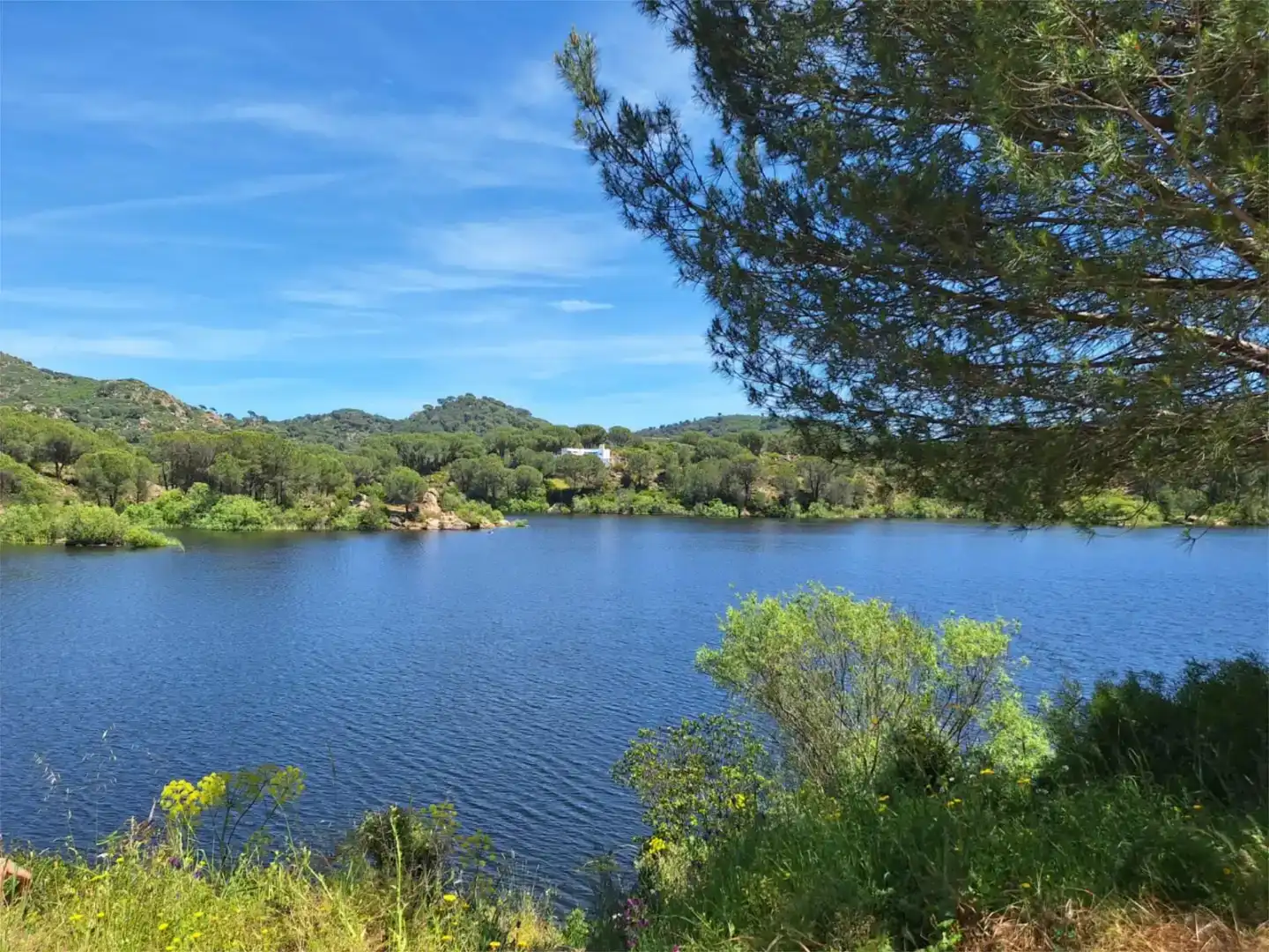 Pis de lloguer en Córdoba amb Aire condicionat, Jardí privat i Traster