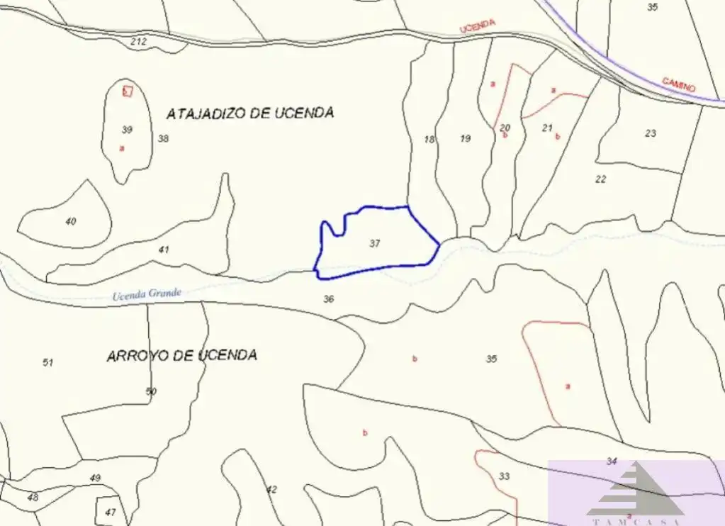 Terreni e lotti in vendita a Atajadizo de Ucenda S/N, imagen 2