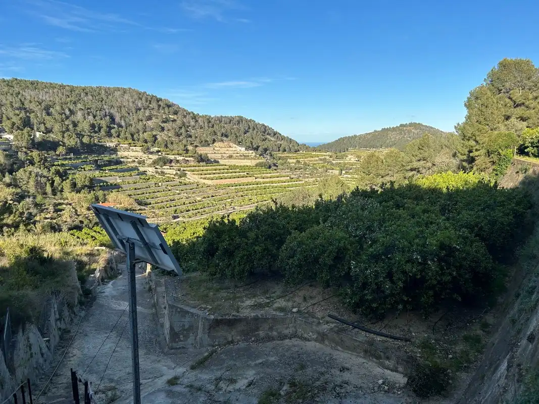 Vista exterior de Finca rústica en venda en Oliva amb Moblat