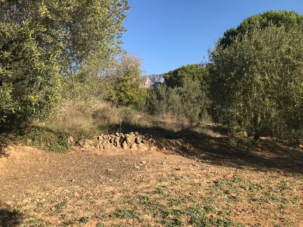Terrain rustique à vendre à El Bruc, imagen 4