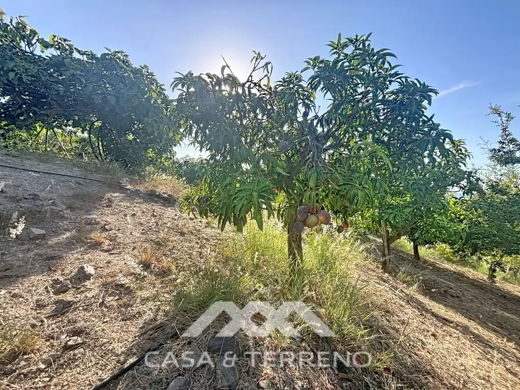 Casa o chalet en venta en Vélez-Málaga ciudad