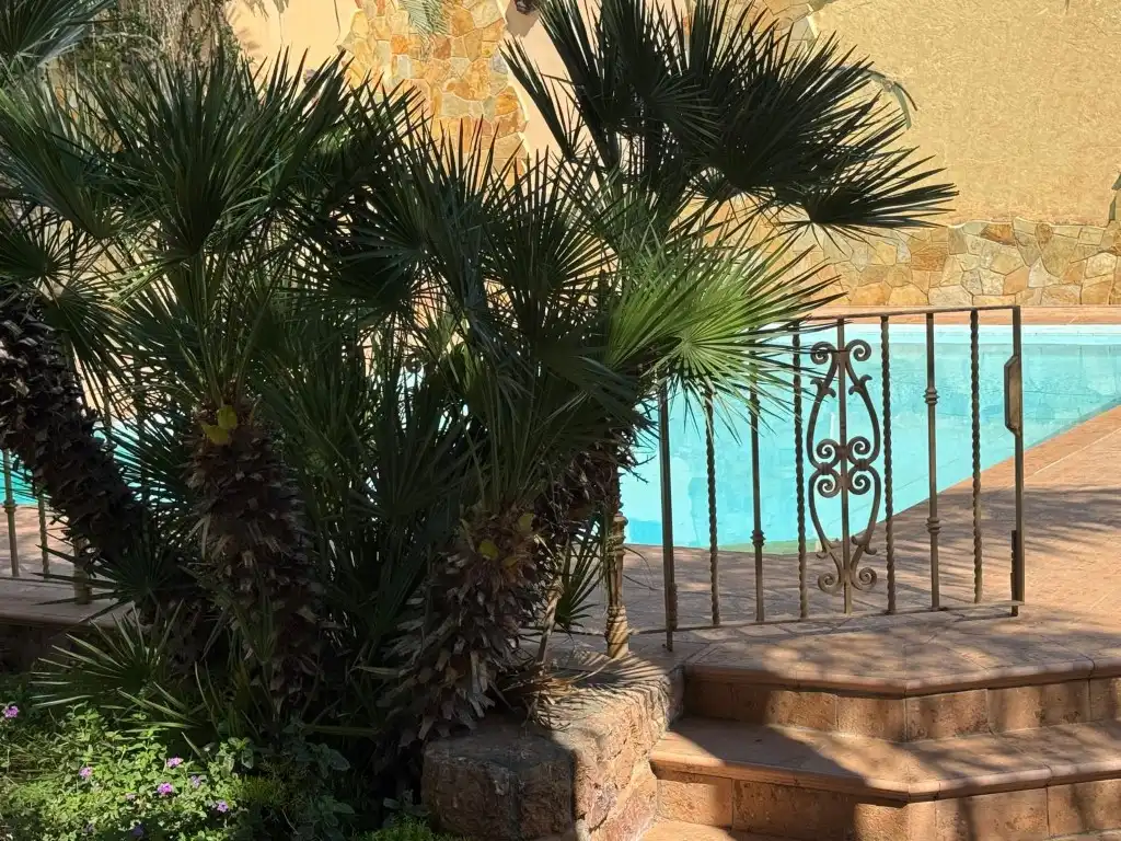 Swimming pool of Houses for rent in Torremolinos  with Air Conditioner, Private garden and Terrace