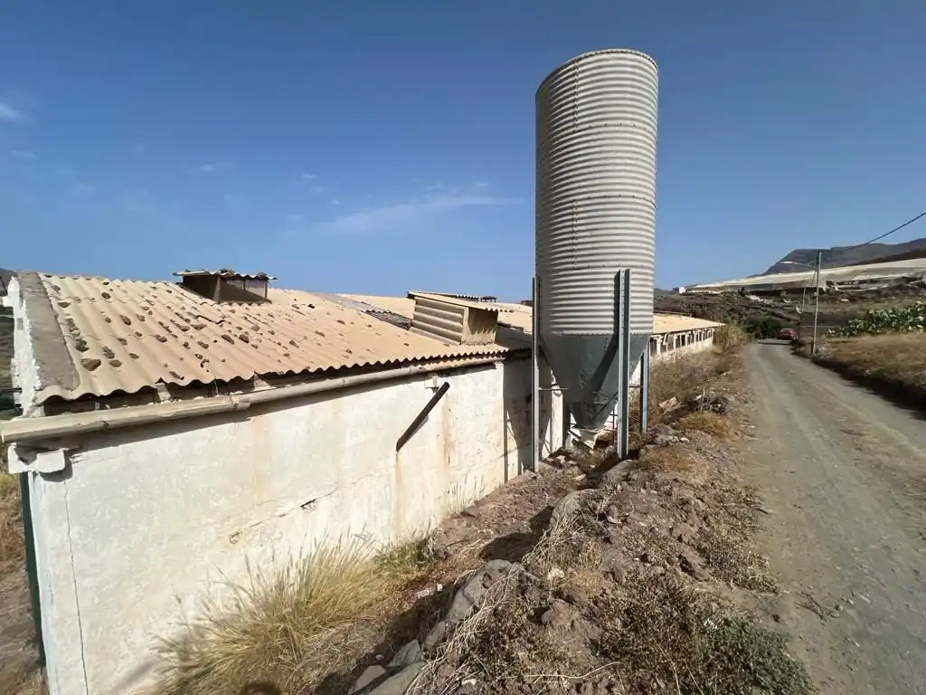 Terreny rústic en venda a La Aldea de San Nicolás