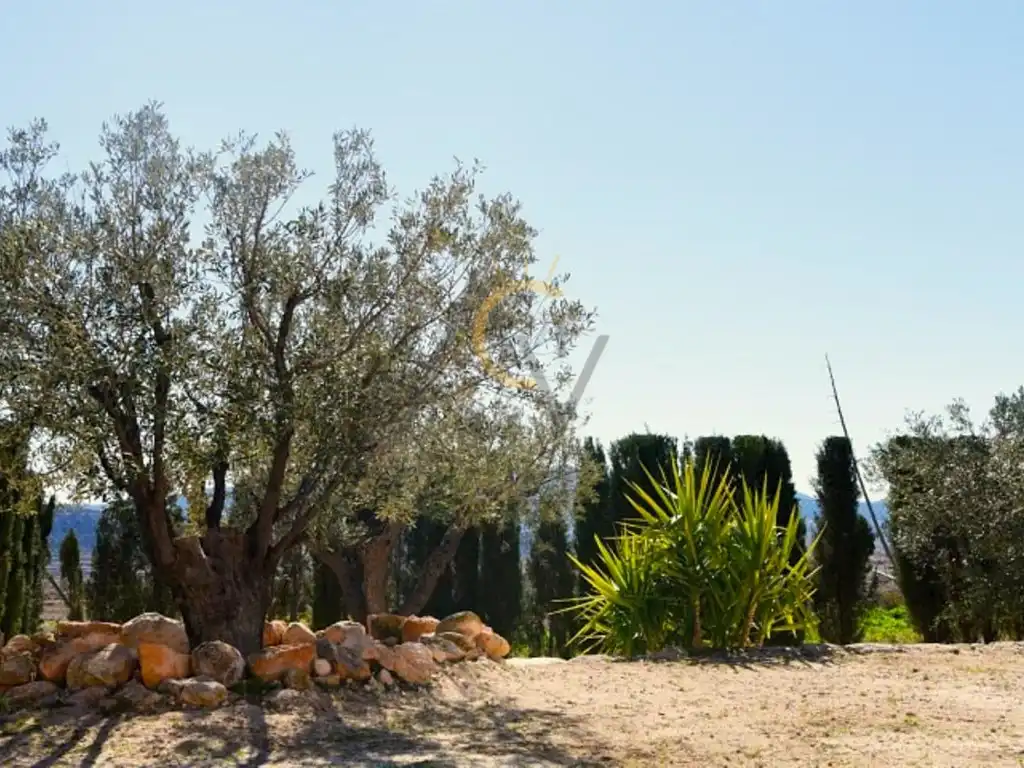 Landhaus mit Garten zum Verkauf in Partida Casas De Ibañez, imagen 22