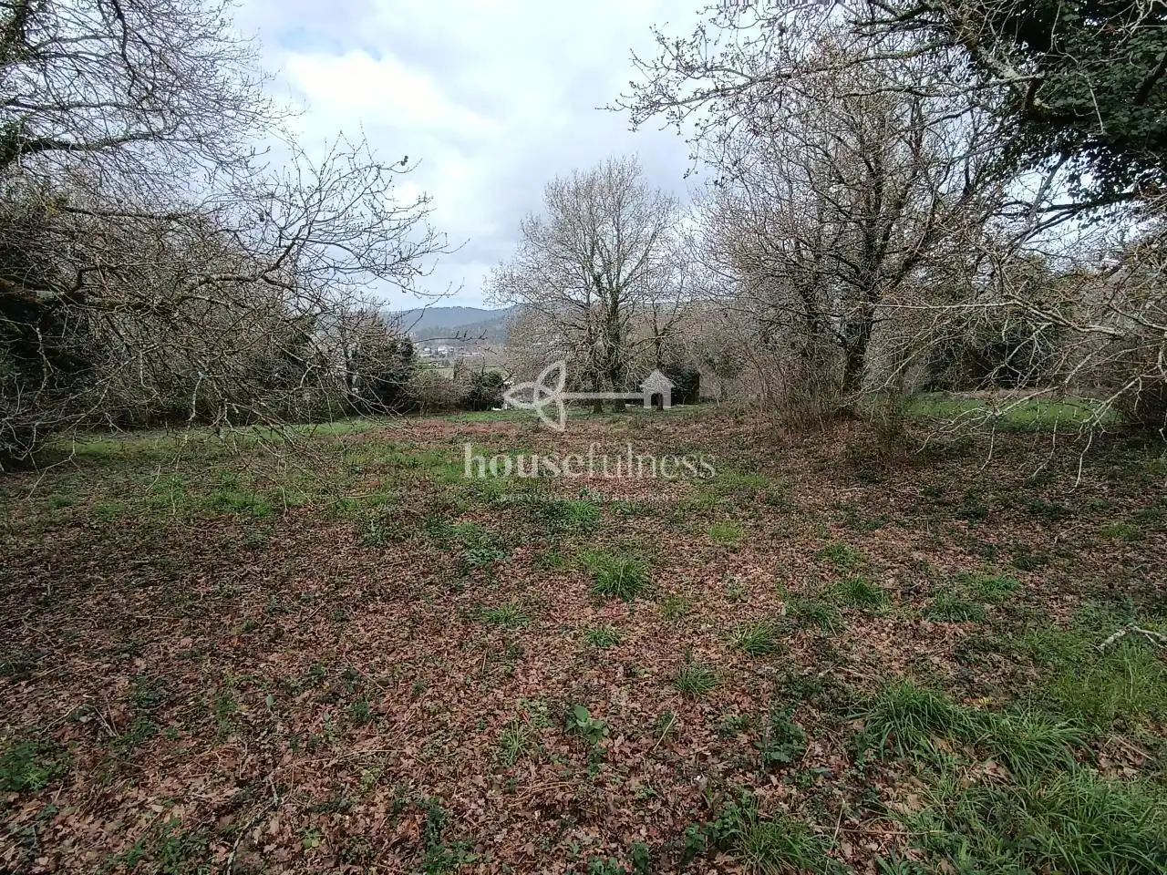Terreni e lotti in vendita a Parroquias de Santiago, imagen 17