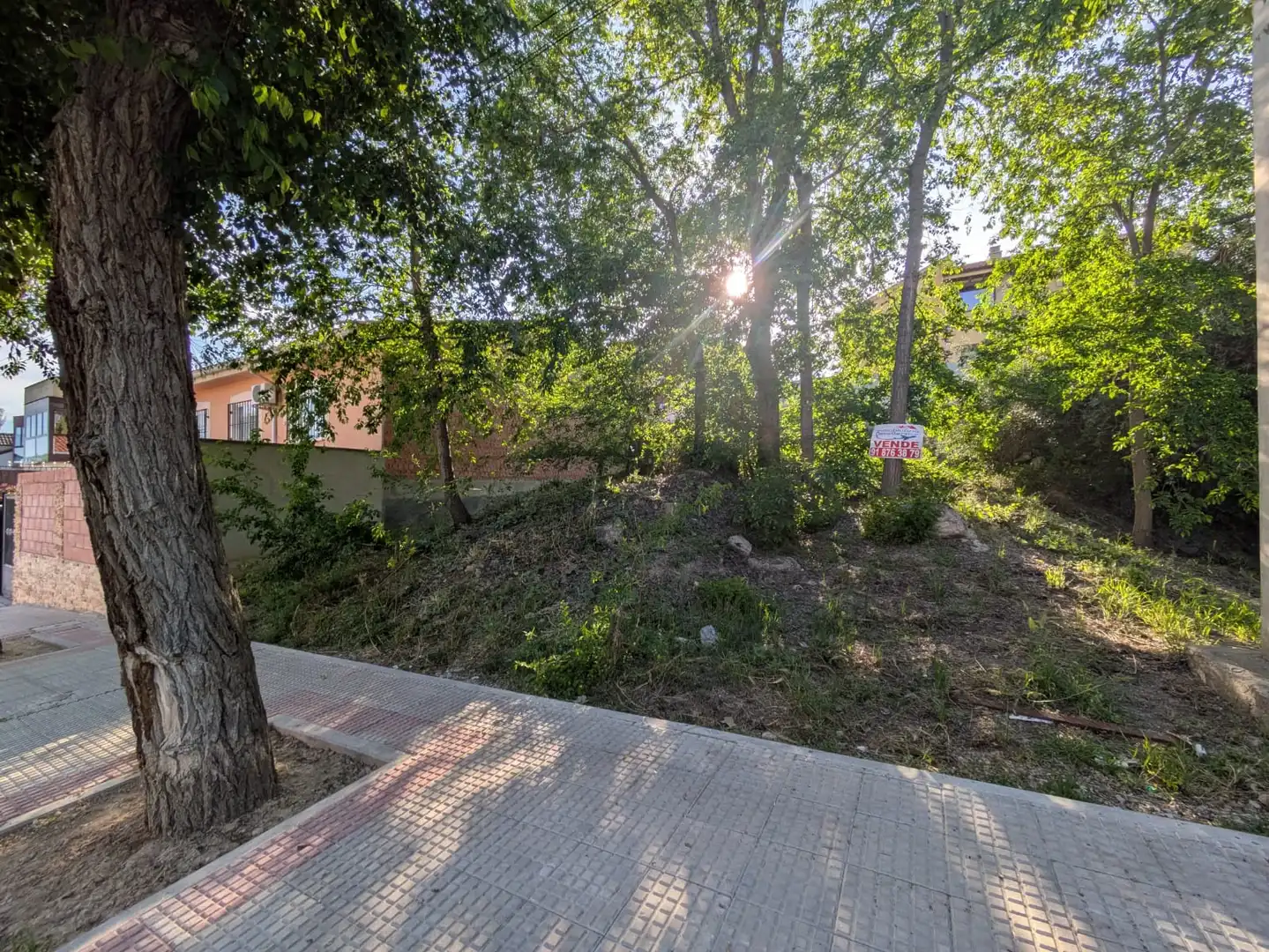 Terreno residencial en venta en Plaza Mayor 2
