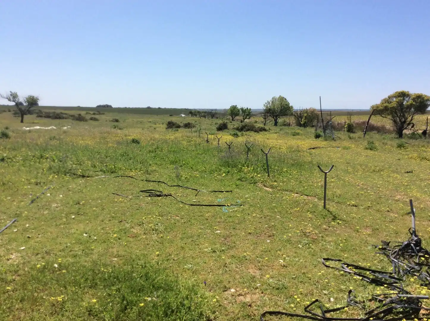 Land for sale in Almonte