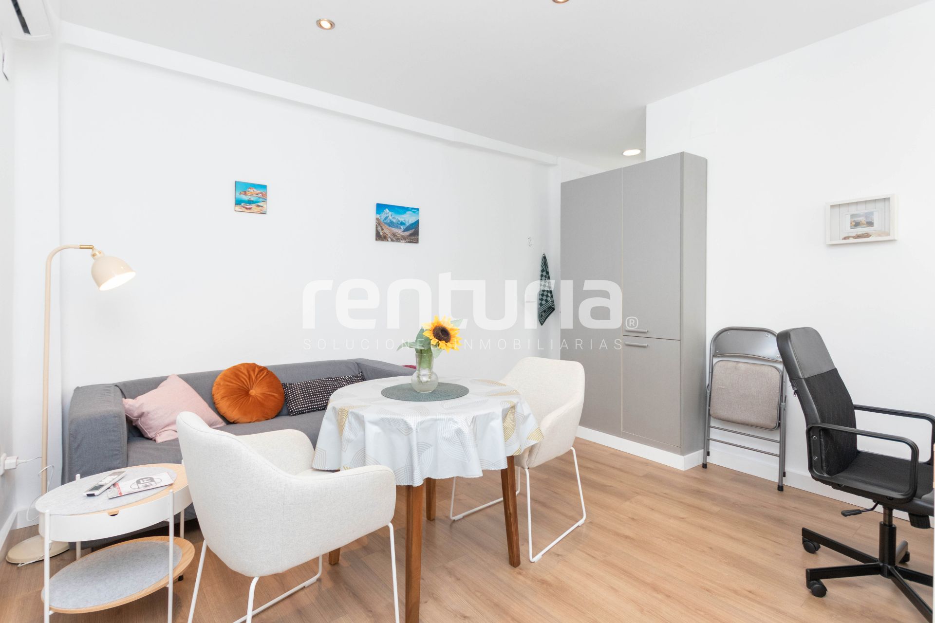 Pis de lloguer a Carrer d'Olimpia Arozena Torres, Nou Moles