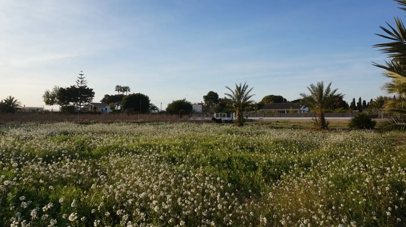 Terreno residencial en venta en Las Bayas, imagen 12