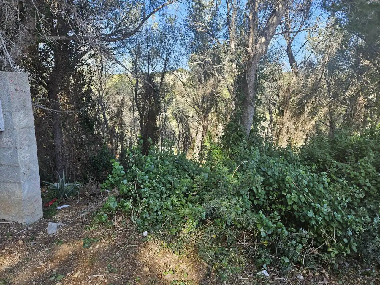 Terreno residenziale in vendita a Vía Láctea, imagen 5