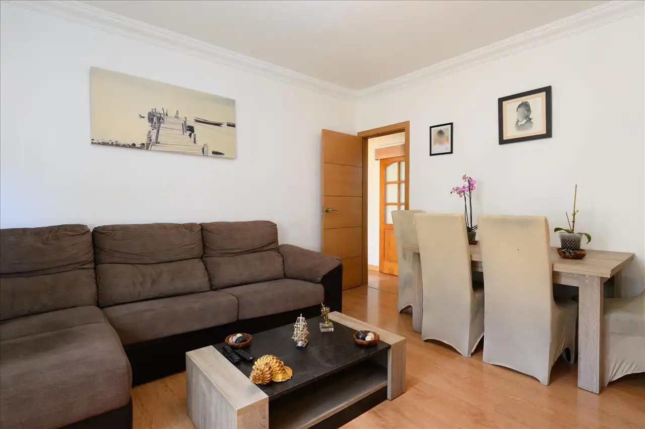 Sala de estar de Piso en venta en Las Palmas de Gran Canaria con Terraza