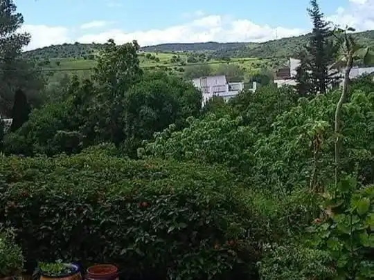 Terreno rustico in vendita a Montenegral alto 3, imagen 8