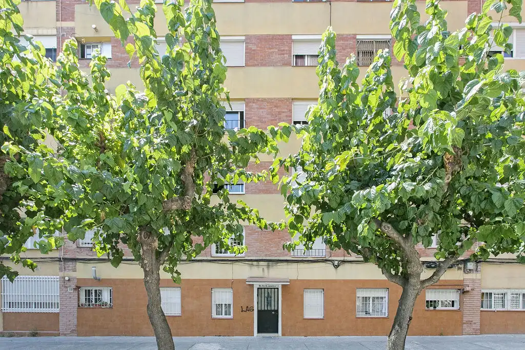 Piso en venta en C/ Basses