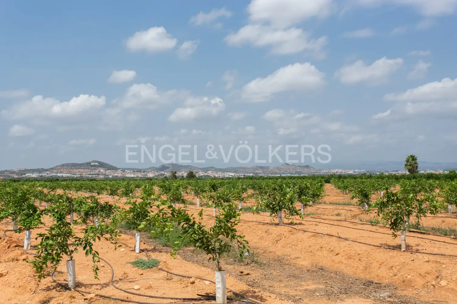House with terrace for sale in Gallipont, imagen 97
