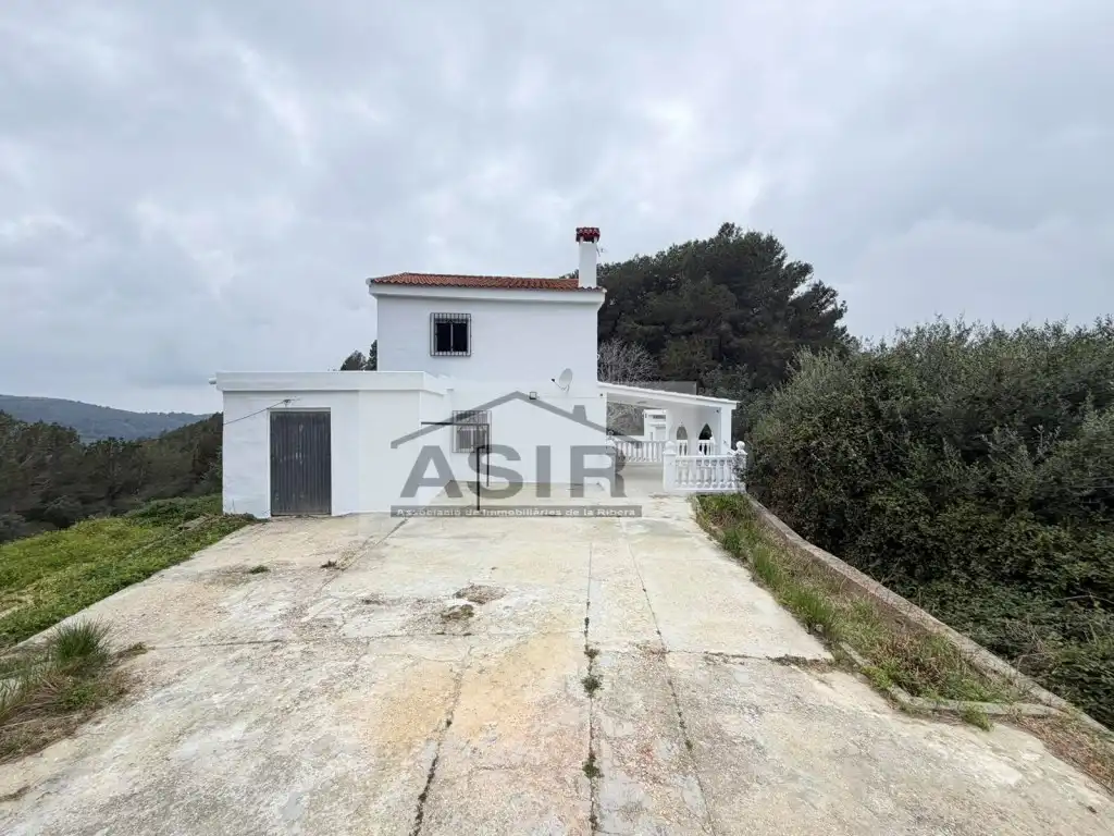 Exterior view of Houses for sale in Alzira