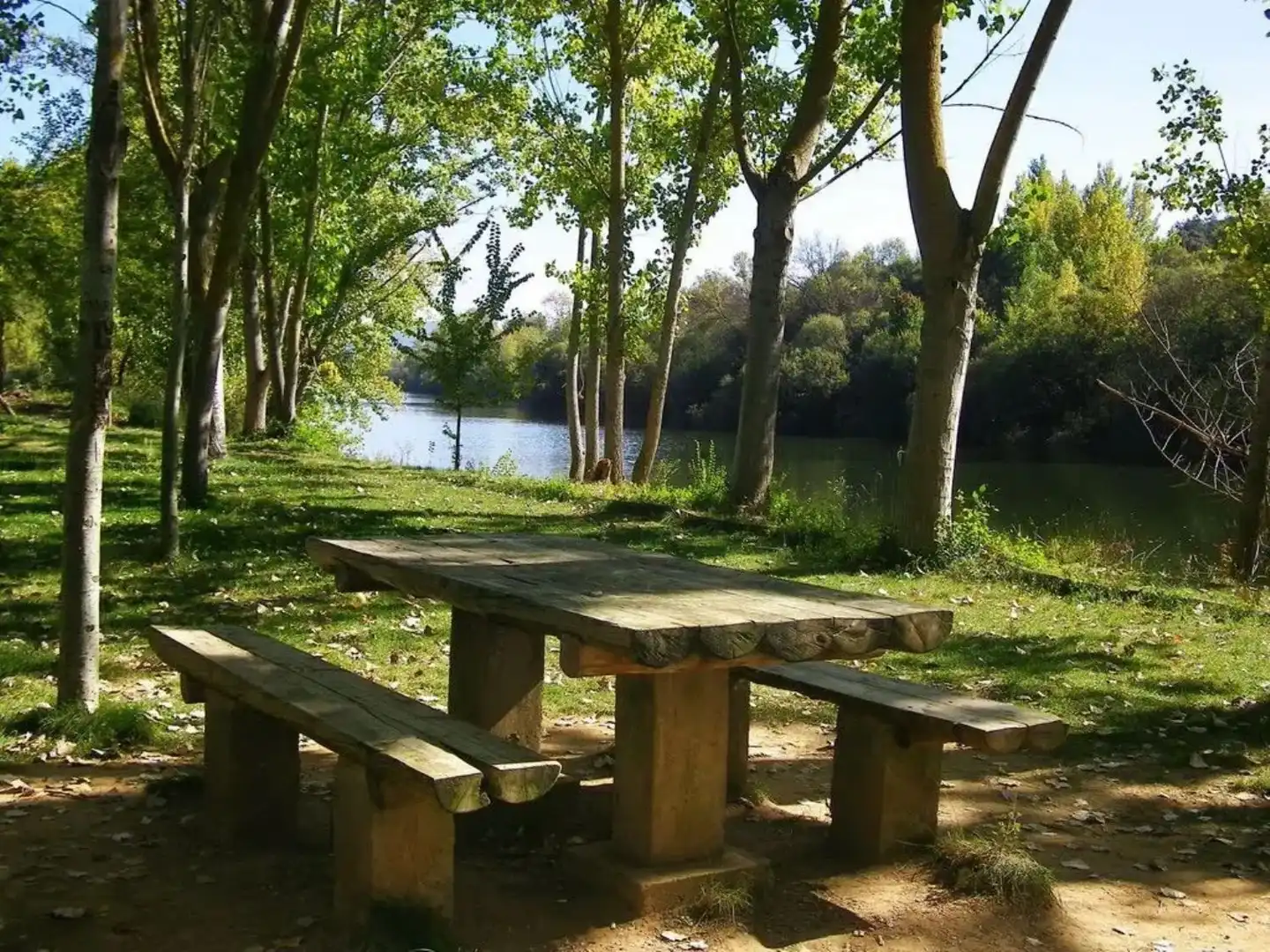 Jardí de Casa o xalet en venda en Piedrabuena amb Aire condicionat, Calefacció i Jardí privat