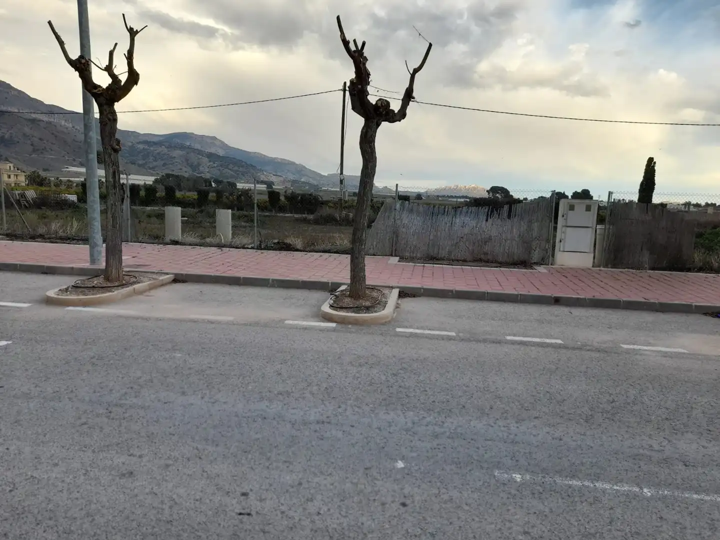Vista exterior de Residencial en venda en Abarán