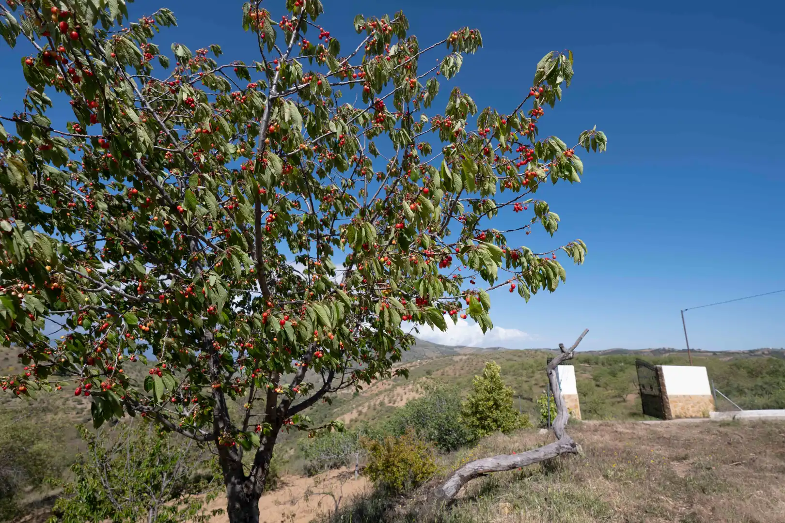 Vista exterior de Casa o xalet en venda en Murtas amb Jardí privat, Terrassa i Piscina