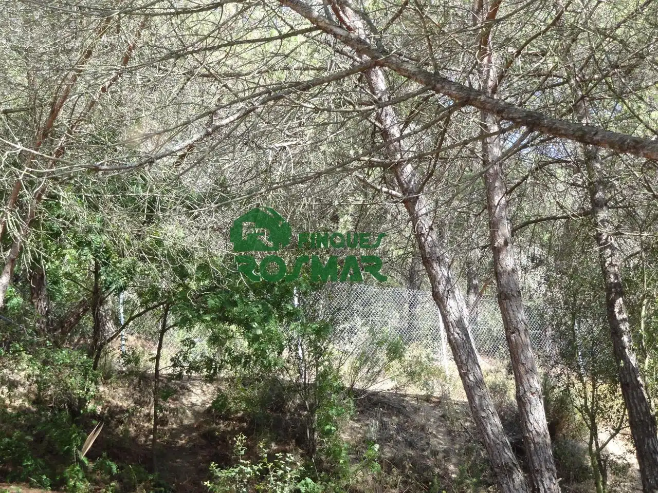 Land for sale in El Molí - El Rieral