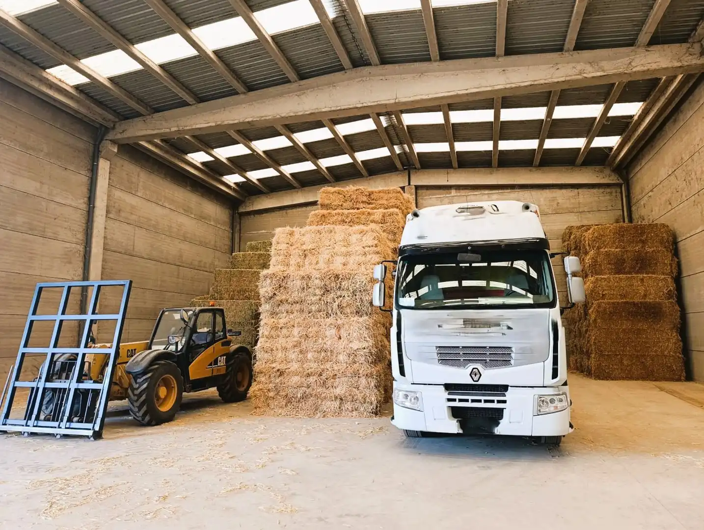 Nave industrielle à vendre à San Isidro - Campohermoso