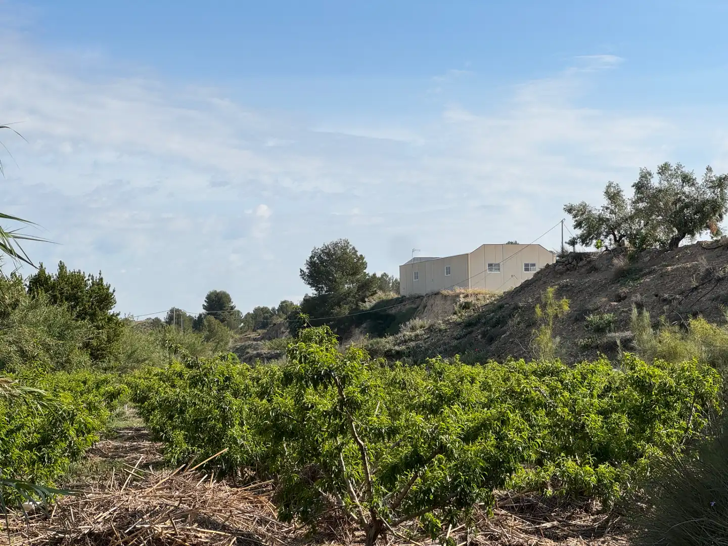 Terreno rustico in vendita a Calle 7.Canara 76, imagen 32