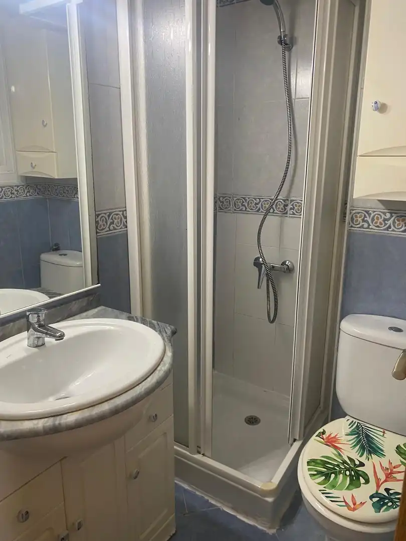 Mini appartamento con terrazza in affitto a Campoamor - Altozano, imagen 4