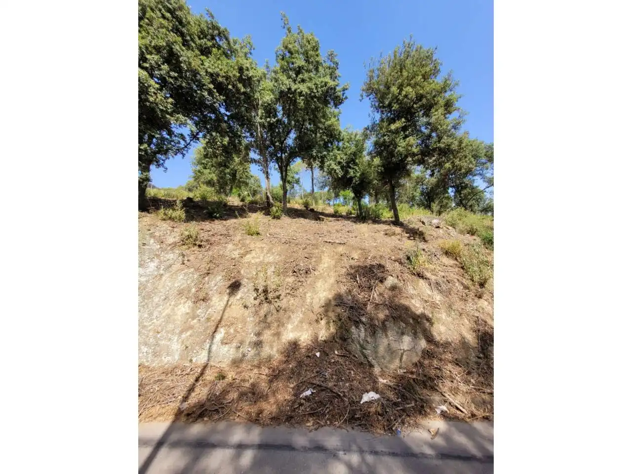 Terreny rústic en venda a El Racó - Sant Feliu del Racó, imagen 10