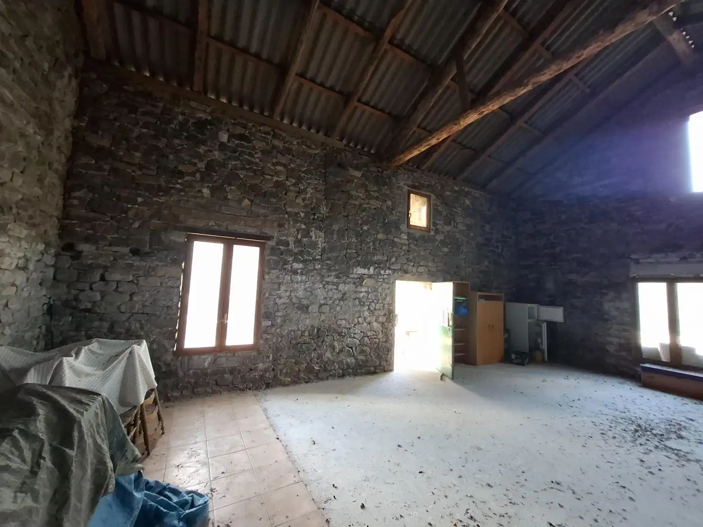 Country homes for sale in Biescas