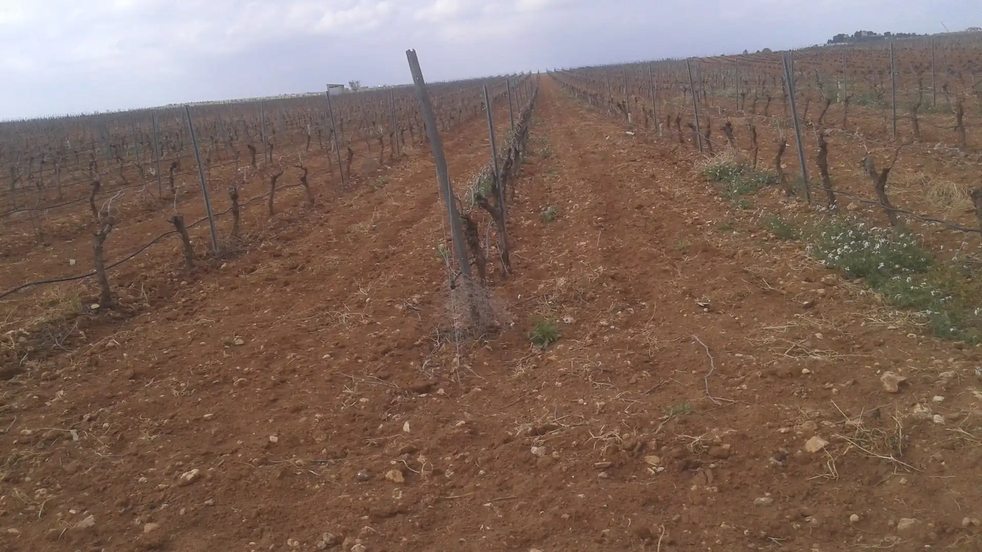 Terrenys i solars en venda a Las Mesas, imagen 6