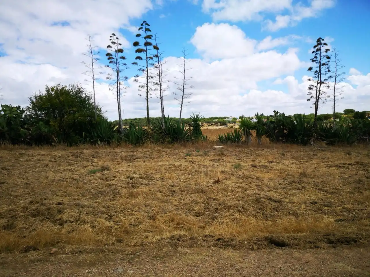 Terreni e lotti in vendita a Dehesa - Monacilla, imagen 11