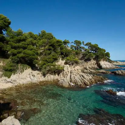 Terreny rústic en venda a Sant Antoni de Calonge, imagen 5