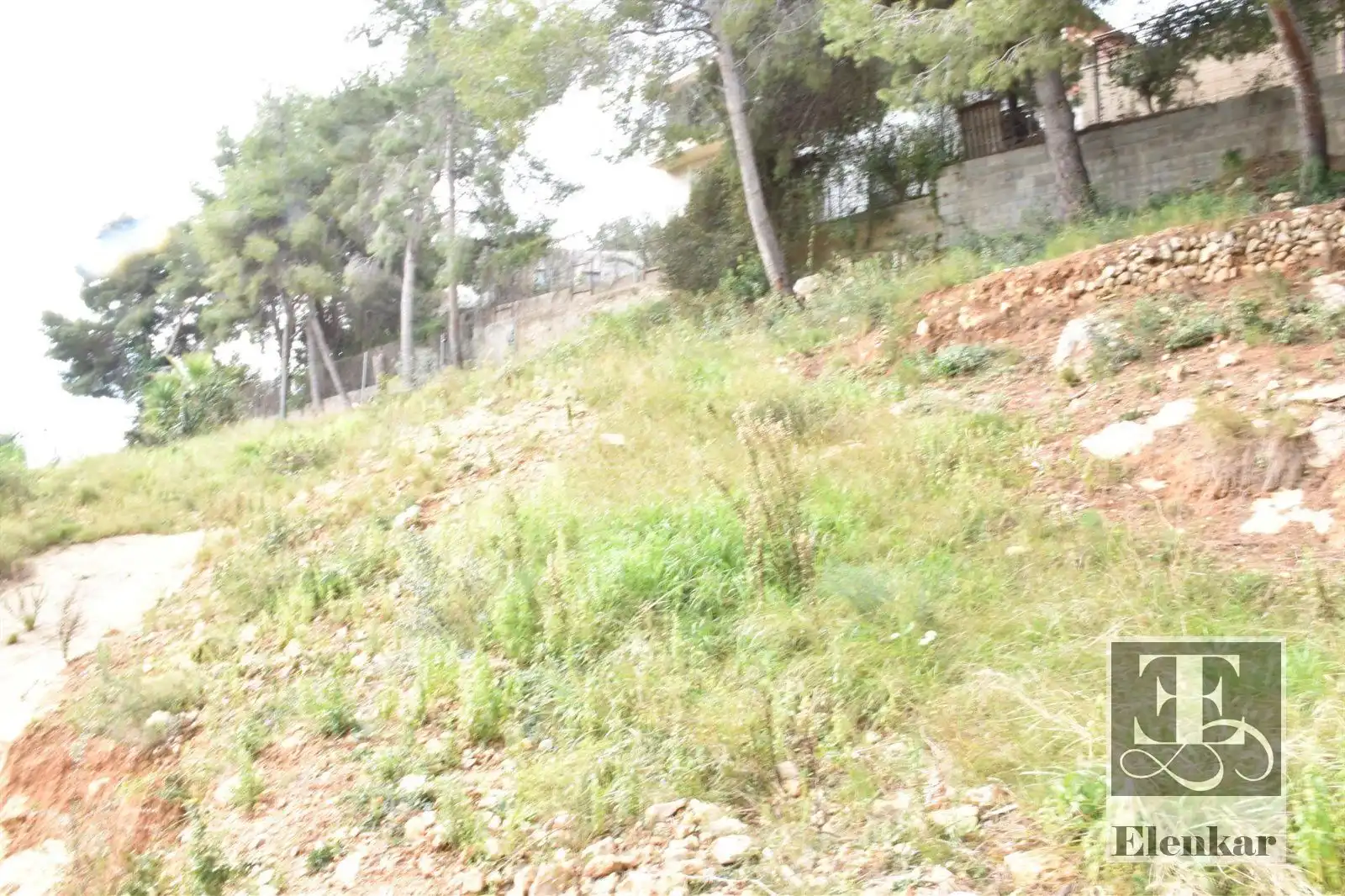 Rural land for sale in GLADIOL, imagen 9