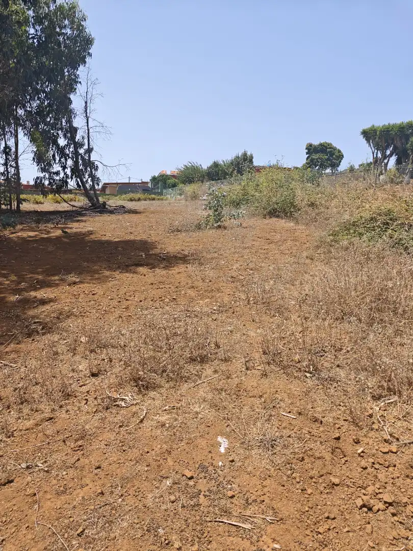 Grundstücke zum Verkauf in Calle Bethencourt, 25, La Esperanza - Llano del Moro