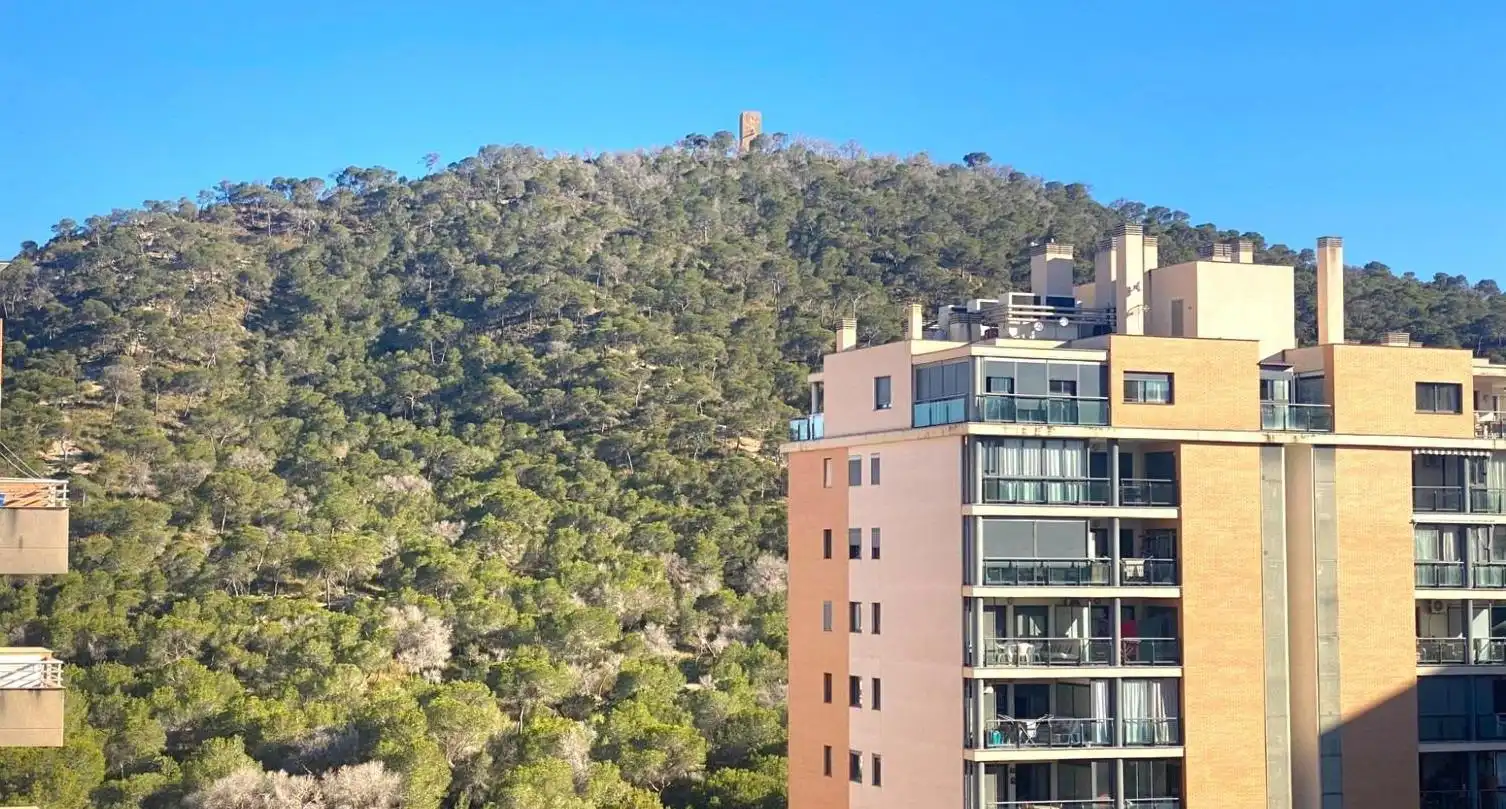 Àtic amb piscina en venda a La Cala de Villajoyosa, imagen 52