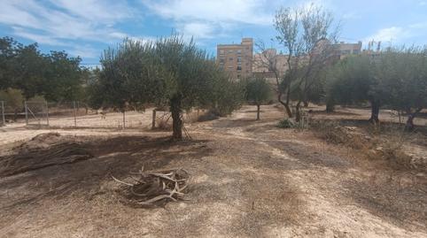 Photo 3 of House or chalet for sale in Partida Torregroses Polígono a, Sol y Luz, Alicante